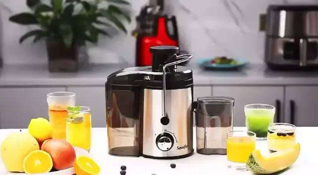 RAF 4-in-1 Juicer Extractor R.2806