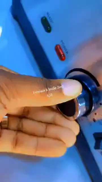 Compact 1.5L Electric Fryer