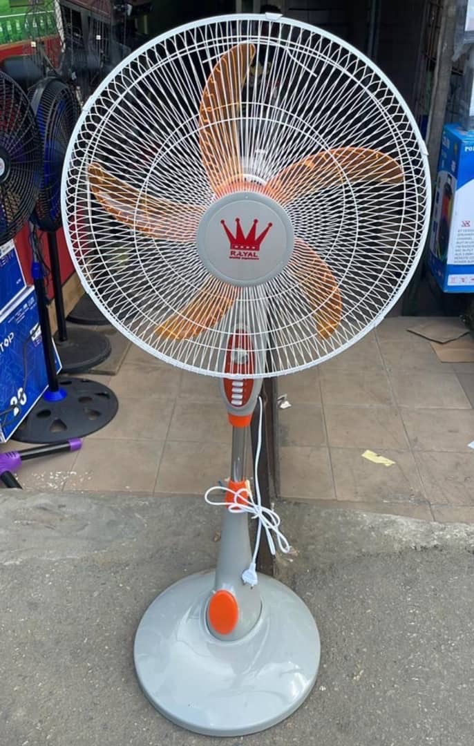 Royal Stand Fan