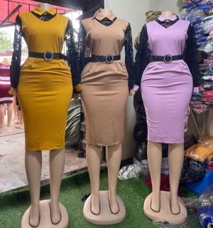 Elegant Lace Sleeve Bodycon Dress