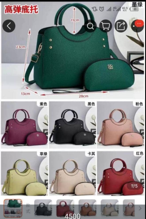 Stylish 2-Piece Handbag Set