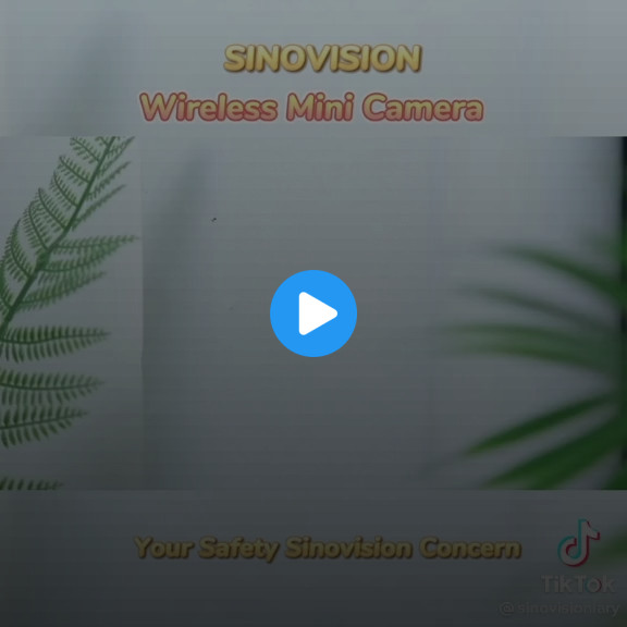 Wireless mini camera